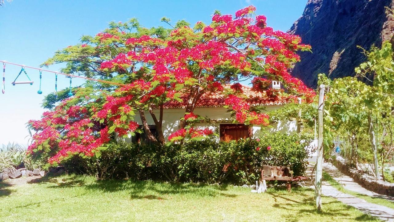 Faja Dos Padres Villa ริเบรา บราวา ภายนอก รูปภาพ