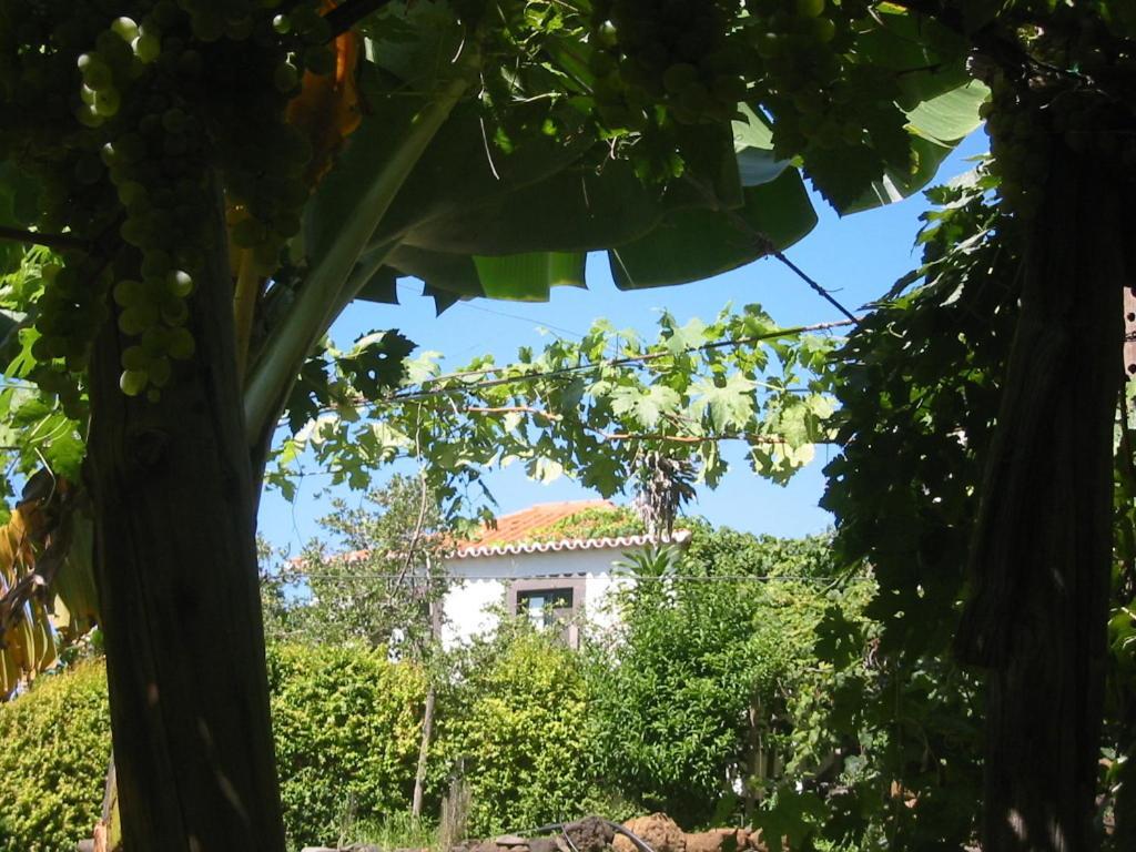 Faja Dos Padres Villa ริเบรา บราวา ภายนอก รูปภาพ